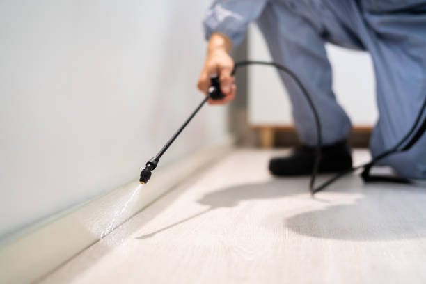 Bed Bug Pre-Treatment Preparation Assessment in Bryans Road