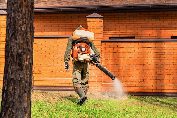 Bed Bug Clearance Verification and Documentation in Bryans Road